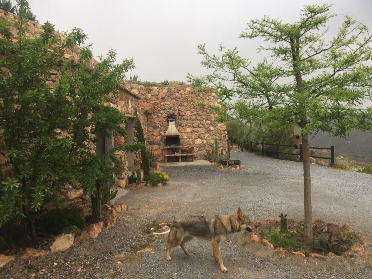 Cuevas El Torriblanco Guest House Gorafe Exterior foto